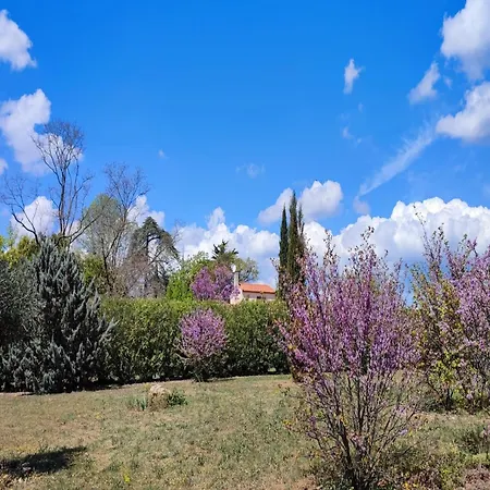 Σπίτι διακοπών On Private Domain With Park , Cleaning Included *